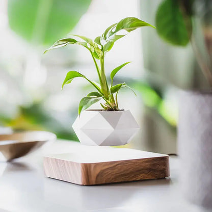 LeviFlora – Luxury Floating Plant Pot with Geometric Elegance