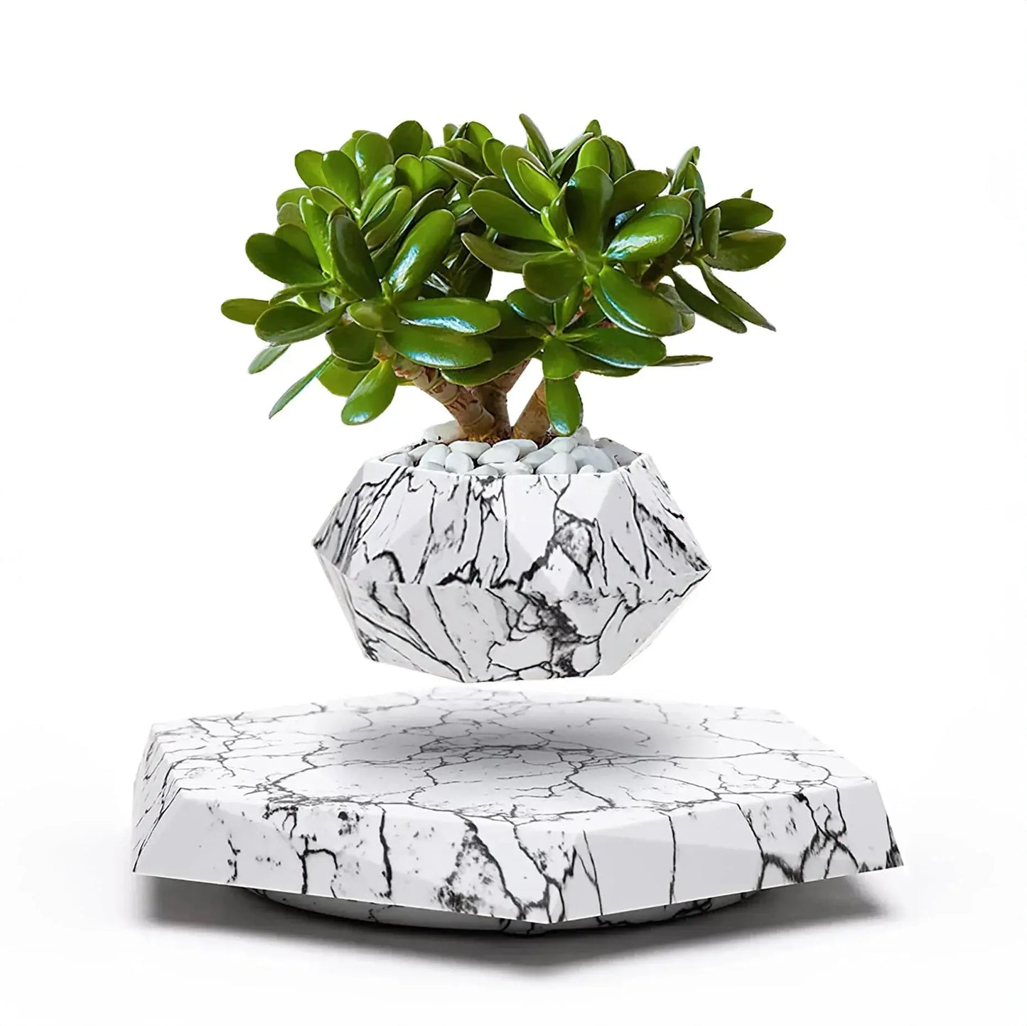 LeviFlora – Luxury Floating Plant Pot with Geometric Elegance