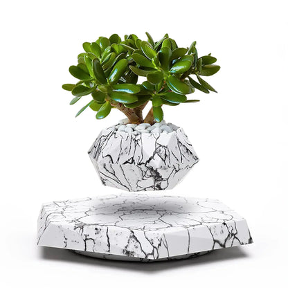 LeviFlora – Luxury Floating Plant Pot with Geometric Elegance
