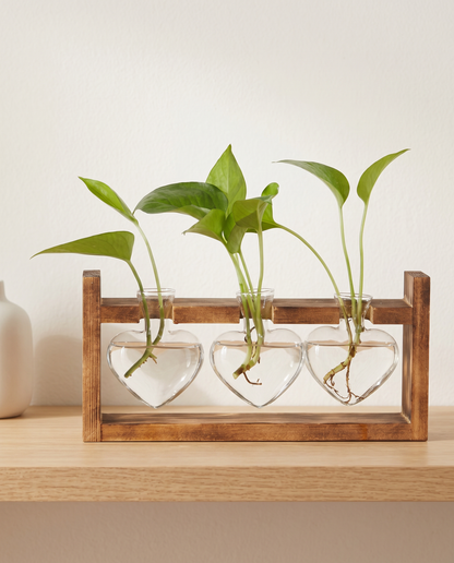 HeartBloom propagation vase minimalist luxury hero shot