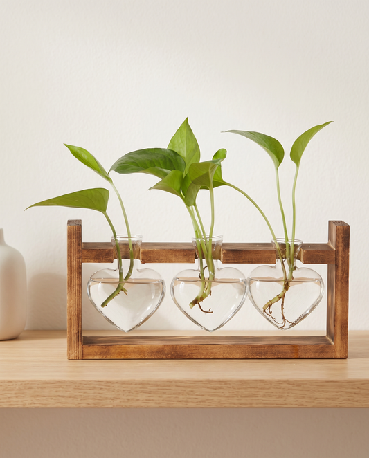 HeartBloom propagation vase minimalist luxury hero shot